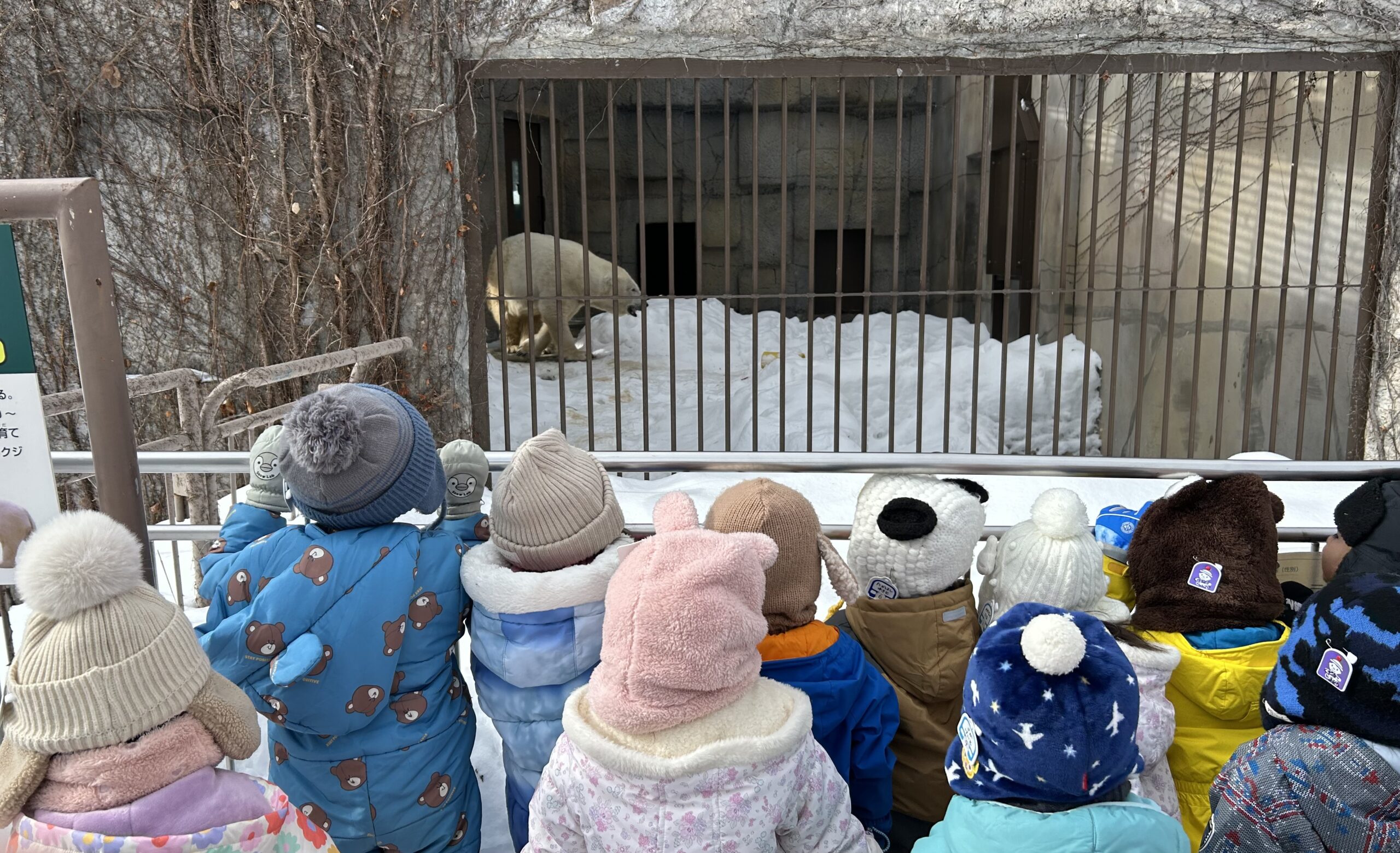 年少組　冬の動物園